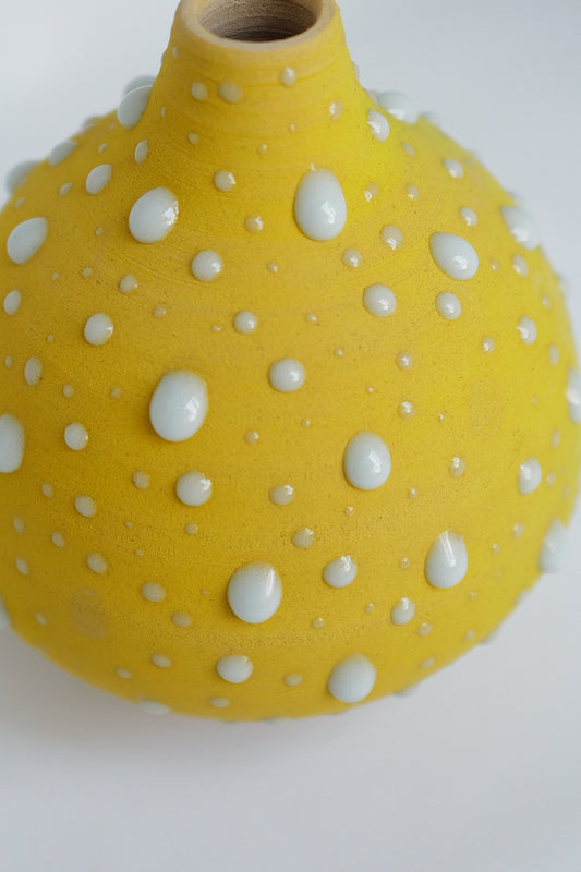 Morning After the Rain