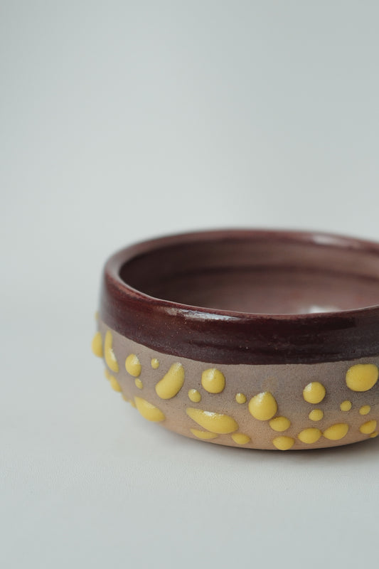 Mini Earth & Glow Bowl