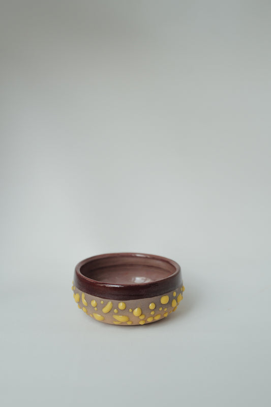 Mini Earth & Glow Bowl