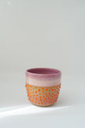 Citrus Bloom Cup